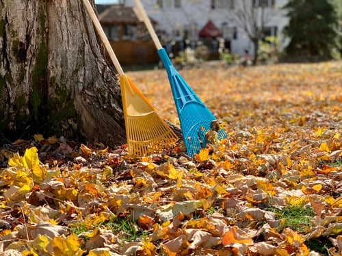 A Fall Yard Checklist for South Sound Homeowners