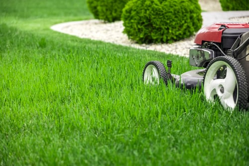 How Often Should You Mow a Lawn in Western Washington?