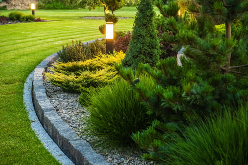Edging / Bordes