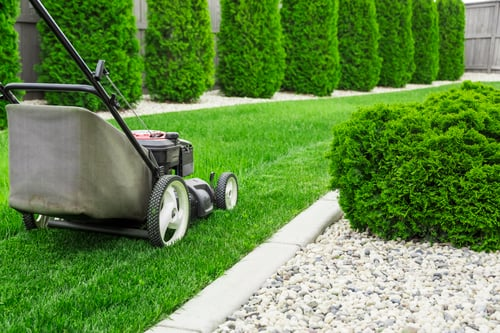 Lawn Maintenance / Mantenimiento de Césped
