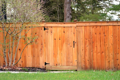 Wood Fences / Cercas de Madera